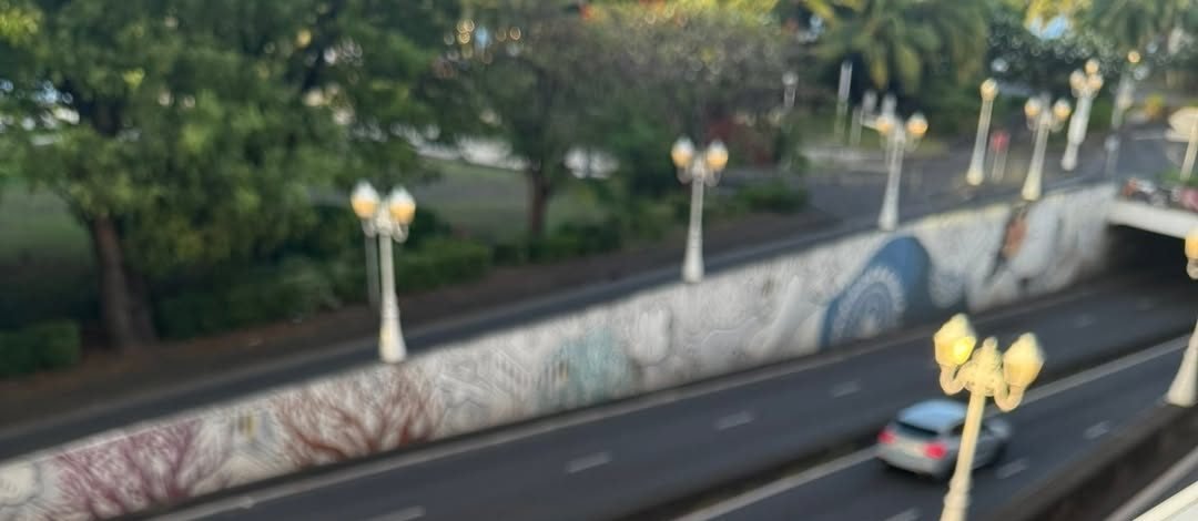 Vue depuis la fenêtre du studio sur le boulevard, ses lampadaires et les arbres du parc Paofai